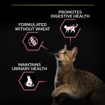 PURINA Pro Plan Cat Sterilised Delicate Rich in Chicken