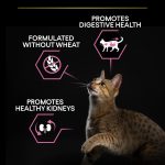 PURINA Pro Plan Delicate Adult Rich in Turkey Dry Cat Food 1.5 KG