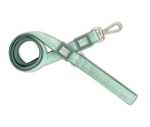 Max and Molly short leash