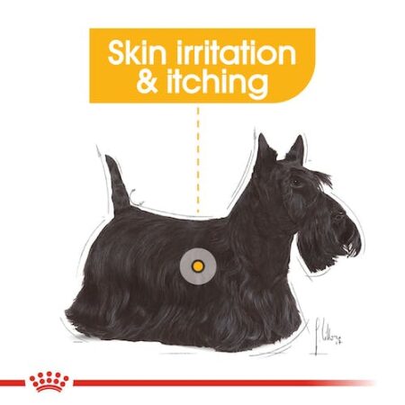 Royal-Canin-Dermacomfort-Wet-Dog-Food-Pouch-85g-450×450