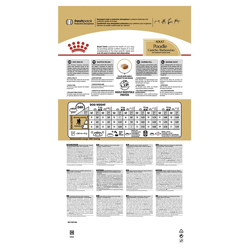 large-royal-c-poodle-7-5kg
