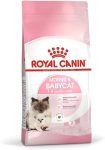 Royal Canin Dry Food for Mother