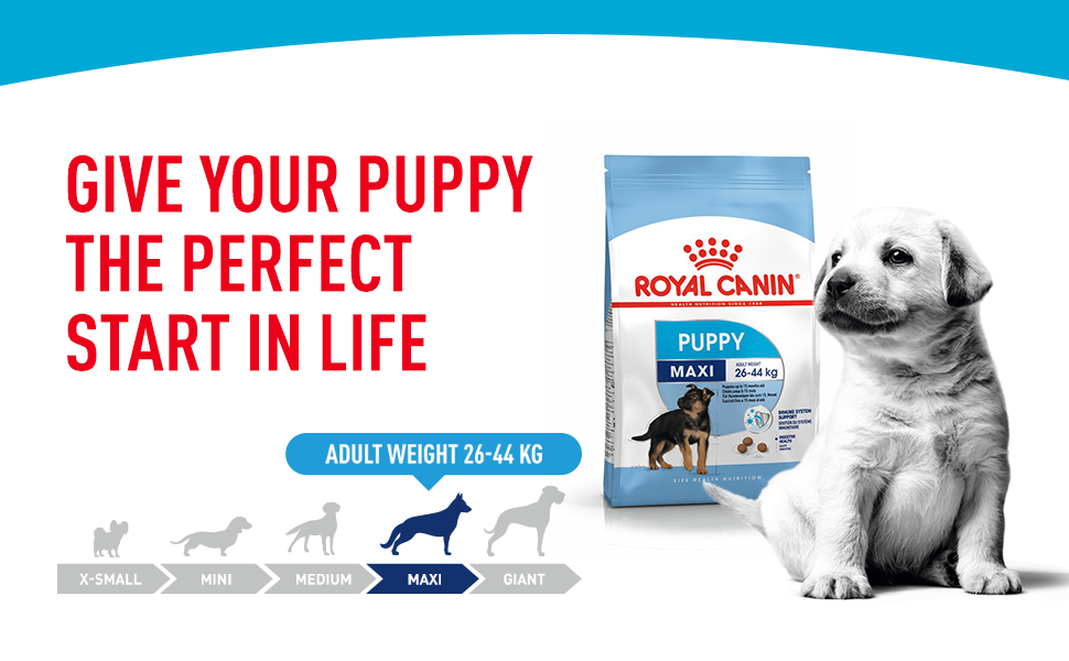 Royal Canin Maxi Puppy Dry Dog Food D 1