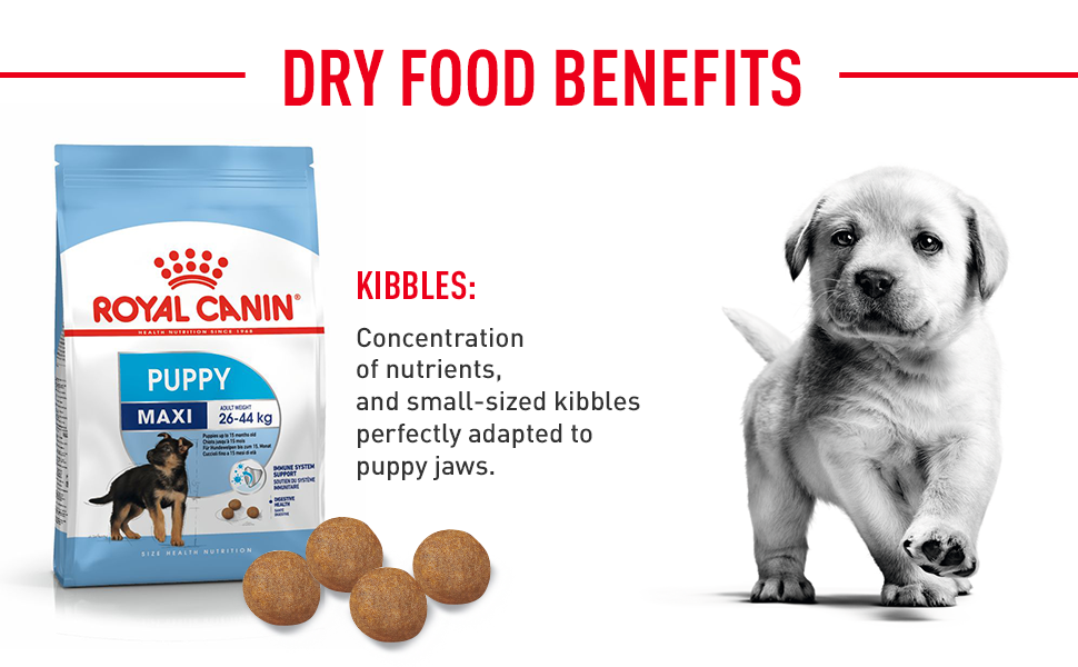 Royal Canin Maxi Puppy Dry Dog Food D 5