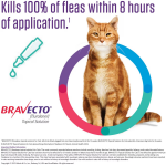 Bravecto_for_Medium_Cats__23849