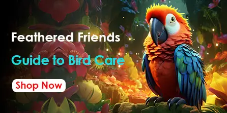 Homepage 11 bird banner2