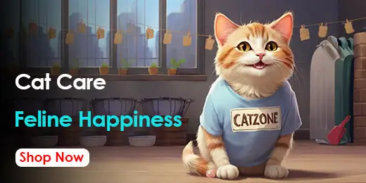 Homepage 10 cat section