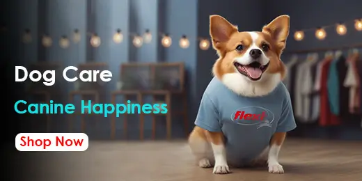Homepage 9 dog care section