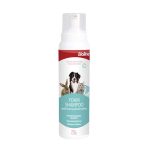 dry-foam-shampoo01.jpg