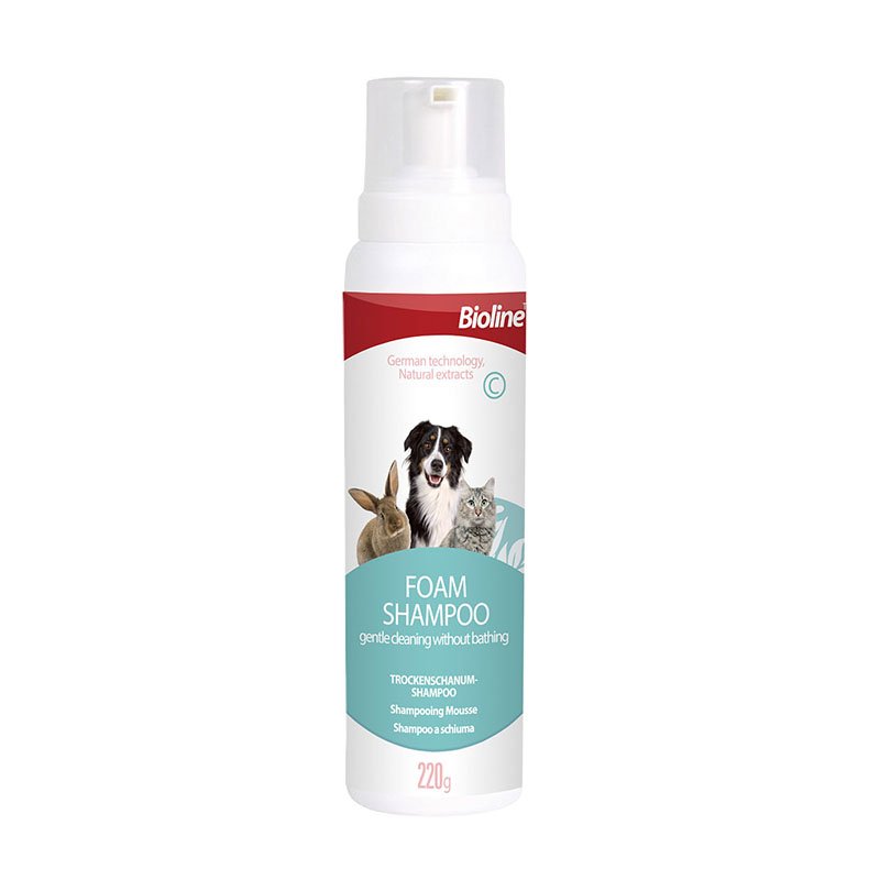 dry-foam-shampoo01.jpg
