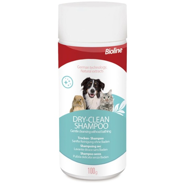 dry shampoo01
