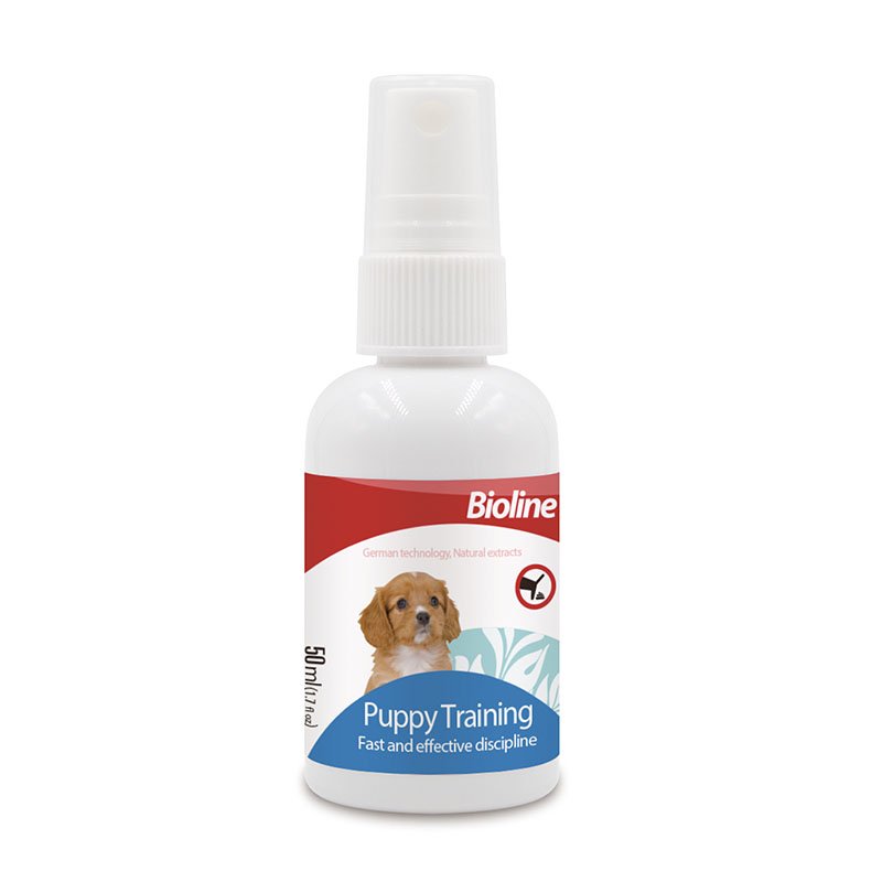 puppy-trainer01.jpg