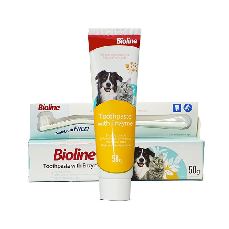 toothpaste-with-enzyme01.jpg