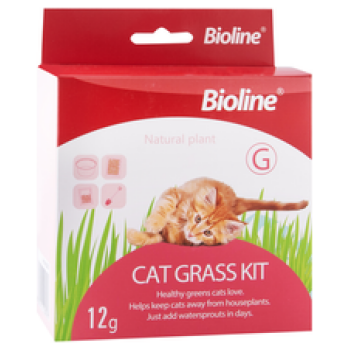 Bioline Natural Cat Grass Kit 12 g