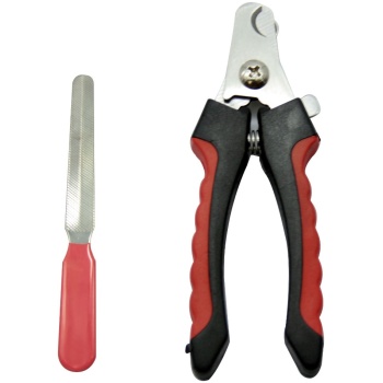 Small number eight scissors with a serrated blade