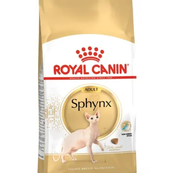 Royal Canin Dry Cat Food for Adult Sphynx (12+ Months)