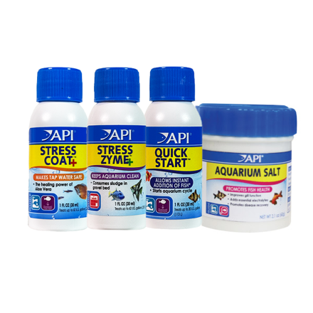 API PERFECT START_1658954333