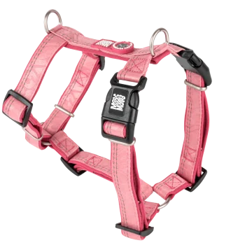 Max and Molly sport Harness/L matrix 2.0 rose