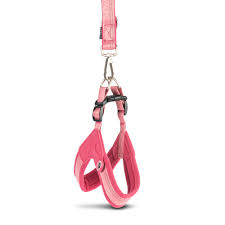 Max and Molly Q-FIT Harness/XS Matrix 2.0 Rose 36-40 cm