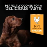 01_89911c22-92a1-432c-9c99-5697057eebca 4444