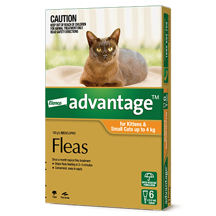 advocate for cat trusted