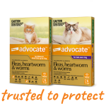 advocate for cat trusted