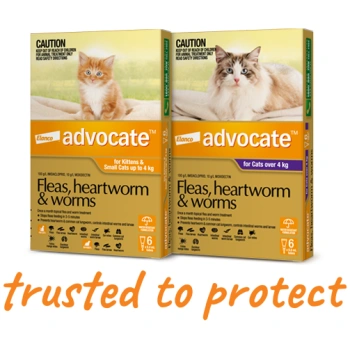 Advocate Spot On Solution for Small Cats (Up to 4kg)