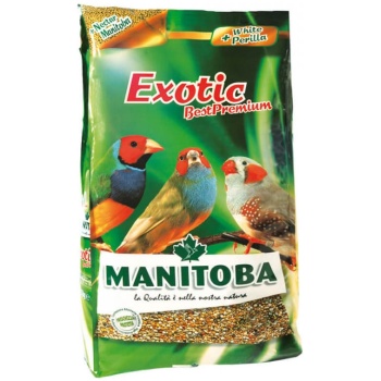 Manitoba Exotic Best Premium 1Kg