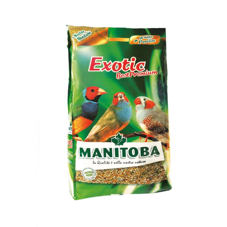 Manitoba Exotic Best Premium 1Kg