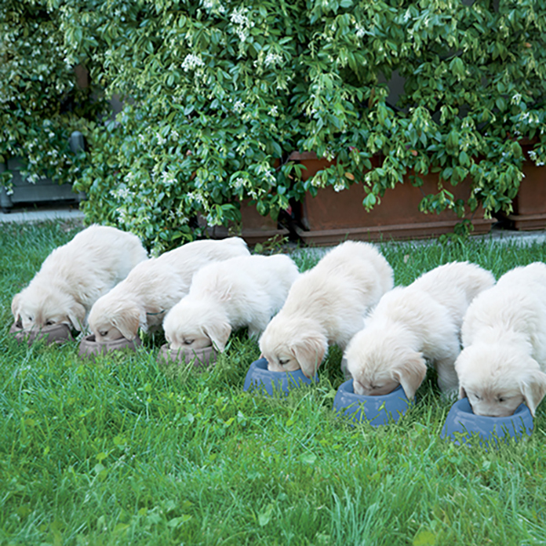 BREAK-9-NORDIC-GRIGIO