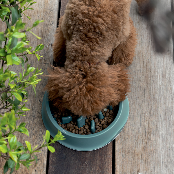 Ciotola-CHIC-Slow-food-1-lt-verde-inglese-600×600