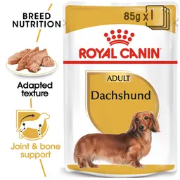 100000001541-royal-canin-dachshund-adult-wet-dog-food-1