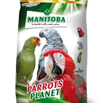 TROPICAL BIG PARROTS