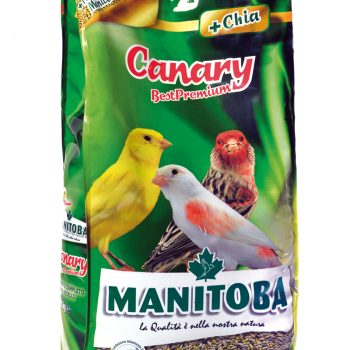CANARY BEST PREMIUM
