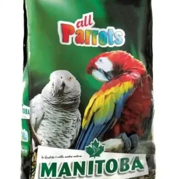 ALL PARROTS