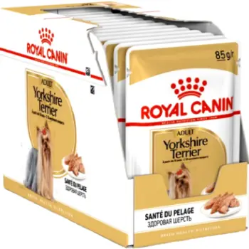Feline Healthy Nutrition Yorkshire Adult(Wet Food-pouches)12*85g
