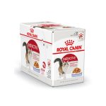 51mwHegGBFL 121212121212