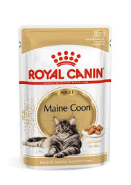 feline breed nutrition mainecoon