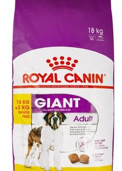 Royal Canin Dry Food for Giant Breed Adult Dogs (15+3kg Free)