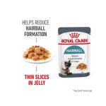 Feline care Nutrition Hairball Care in Jelly 85g